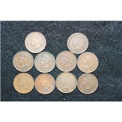Indian Head Penny; Various Dates & Conditions, Lot of 10