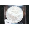 Image 1 : 2009 Silver Eagle $1