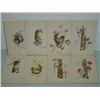 Image 1 : LOT 9 VINTAGE POSTCARDS WOMEN BIRTHDAY