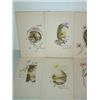 Image 2 : LOT 9 VINTAGE POSTCARDS WOMEN BIRTHDAY