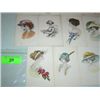 Image 2 : LOT 14 VINTAGE POSTCARDS WOMEN WATERCOLOR