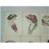 Image 3 : LOT 14 VINTAGE POSTCARDS WOMEN WATERCOLOR