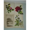 Image 1 : LOT 22 VINTAGE CHRISTMAS POSTCARDS
