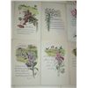 Image 8 : LOT 57 VINTAGE POSTCARDS EASTER THANKSGIVING
