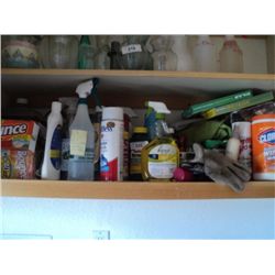 SHELF OF CLEANING SUPPLIES