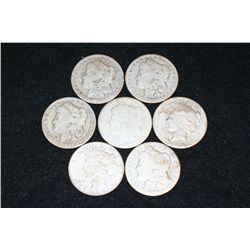 Silver Morgan $1 & Peace $1, Various Dates & Conditions, Low Grade, Lot of 7