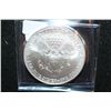 Image 2 : 2007 Silver Eagle $1