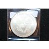 Image 2 : 2010 Silver Eagle $1