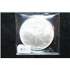 Image 1 : 2007 Silver Eagle $1