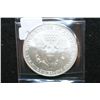 Image 2 : 2007 Silver Eagle $1
