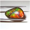 Image 1 : 20mm x 14mm   Ammolite Specimen