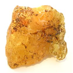 765ct Natural Peru Amber Rough HUGE w/Insects! (MIN-000939)