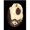 Image 2 : Chinese Handcarved Tagua Ivory Nut (CLB-735)