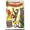 Image 1 : The Amazing Spider-Man #21-#30 Silver Age...