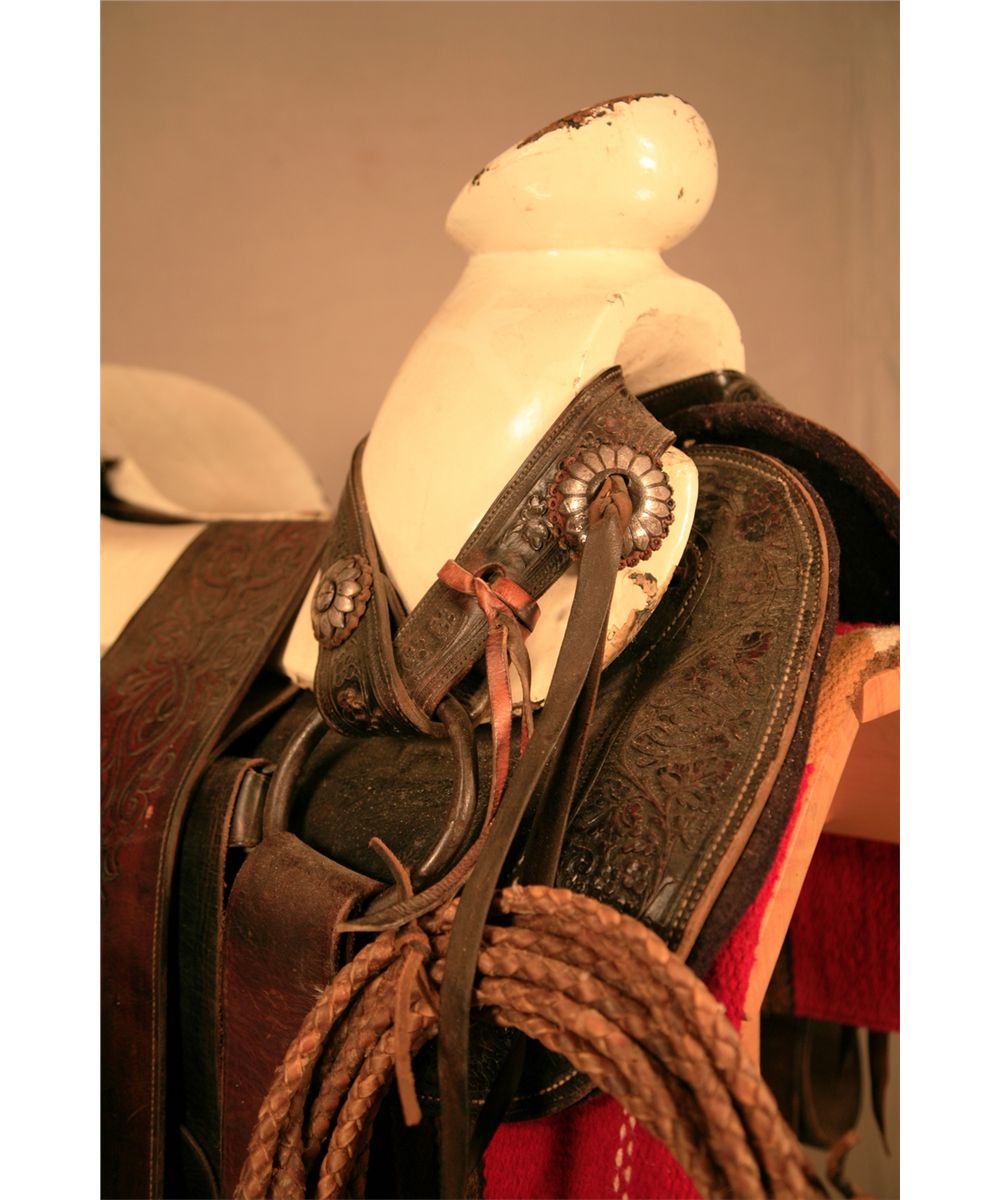 Mexican saddle, w/ rawhide riata, stand & blanket, w/ heavy, ornate ...