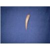 Image 1 : Wood