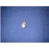 Image 1 : Turtle