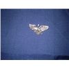 Image 1 : Eagle
