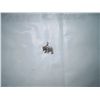 Image 1 : Bear