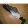 Image 1 : Feather Fan