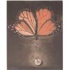 Image 2 : Pinned Drop Mezzotint By G.H. Rothe Framed to 20x23