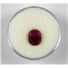 Image 2 : 3.5 CT Ruby Natural Gemstone Oval w/ Cert