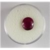 Image 1 : Oval 3.5 CT Ruby Natural Gemstone Type II w/ Cert