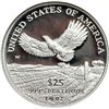 Image 2 : 2000-W $25 American Platinum Eagle