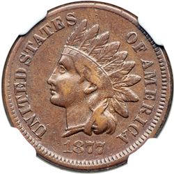 1877 NGC graded XF Details