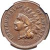 Image 1 : 1877 NGC graded XF Details