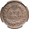 Image 2 : 1877 NGC graded XF Details