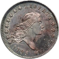 1795 Flowing Hair 50C