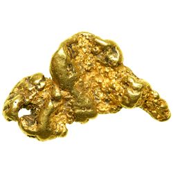 Natural Gold Nugget 20.5 gm.