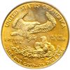 Image 2 : 1991 $25 Eagle