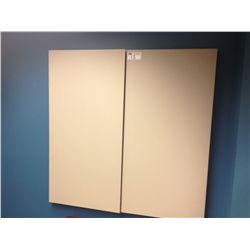 WALL MOUNT CONFERENCE CABINET WITH PROJECTION
