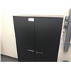 Image 1 : BLACK 2 DOOR CABINET AND EASEL