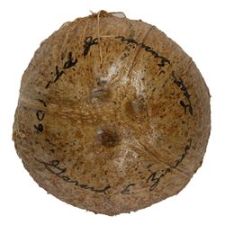 PT-109: Gerard E. Zinser