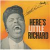 Image 1 : Little Richard