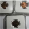 Image 2 : 3 1909VDB NGC slabbed Lincoln pennys