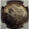 Image 2 : 1889 MORGAN DOLLAR NGC MS63