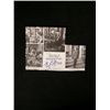Image 1 : Elizabeth Taylor Autographed Virginia Woolf Clipping