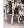 Image 3 : Roy Rogers Signed Items