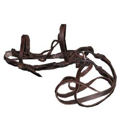 Gladiator Praetorian Horse Bridle