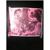 Image 3 : Jim Morrison / The Doors Poster Lot