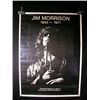 Image 3 : Jim Morrison / The Doors Poster Lot