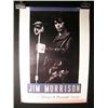 Image 3 : Jim Morrison / The Doors Poster Lot