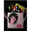 Image 1 : Jim Morrison & The Doors LP Lot