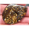 Image 5 : 69.30Cts BOULDER OPAL mwf2261
