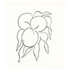 Matisse Original Lithograph "Fruits"