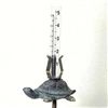 Image 1 : Turtle With Rain Gauge